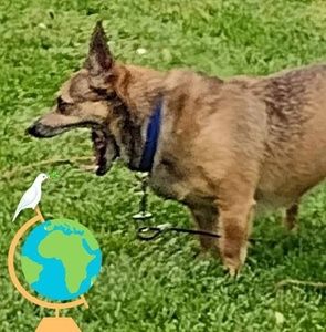 Meet your Posher, Judith